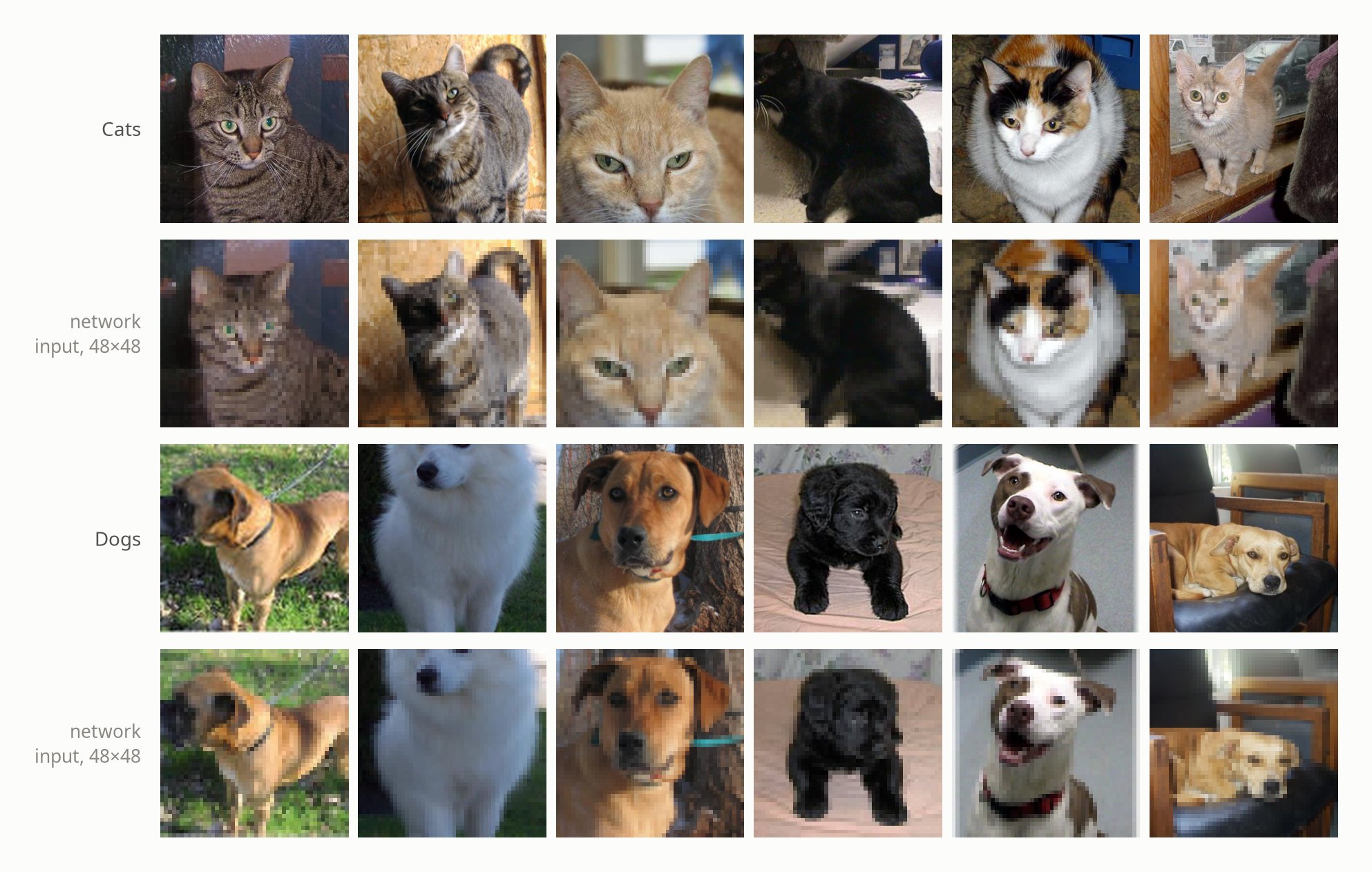 Six cat and six dog photos from the held-out Kaggle test split, each shown above its 48 by 48 pixel network input: the animals stay recognizable, though fine fur texture and eye detail blur away.