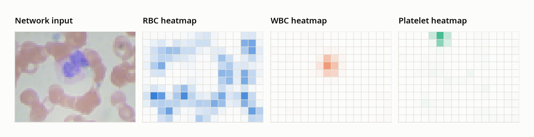 A test photo downsampled to the 64 by 48 network input, beside the network's three 16 by 12 output heatmaps: the red-cell heatmap has a bright blob over each red cell, the white-cell heatmap one blob at the center of the white cell, and the platelet heatmap one blob at the top left where the platelet is.